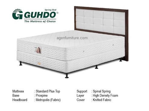 Standard plus top prospine metraplois af.jpg/